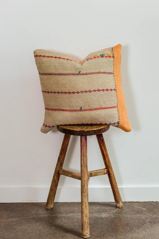 Soft and Fluffy Pillows for Bedroom ComfortOisin 20x20 Pillow 2
