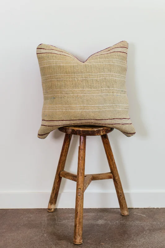 Decorative Pillows for Living Room MakeoverCosette 22x22 Pillow 1