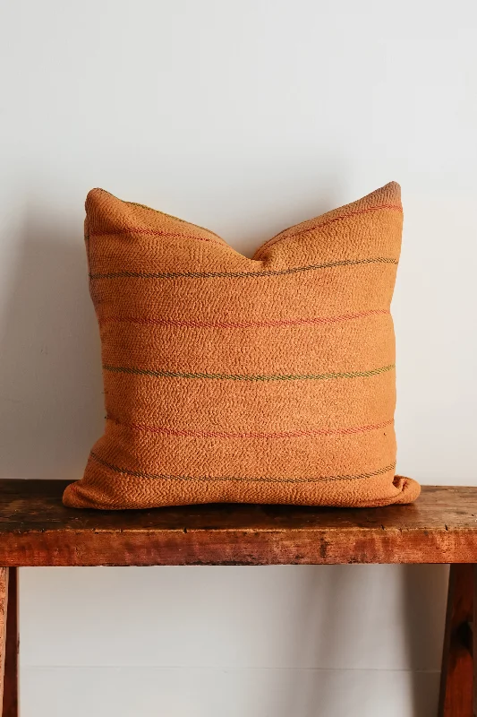 Pregnancy Pillows for Expectant MothersWren Family 20X20 Pillow 3