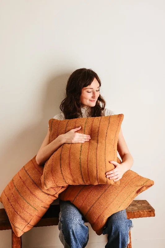 Back Support Pillows for Office ChairsWren Family 20X20 Pillow 2