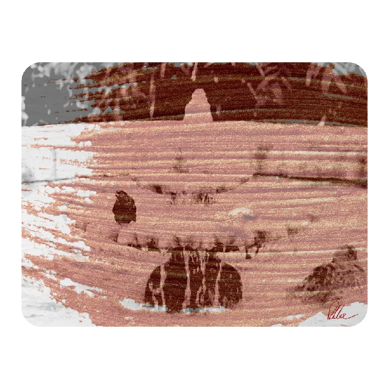 Bamboo fiber blankets with natural antibacterial propertiesBird Bath (Blanket)