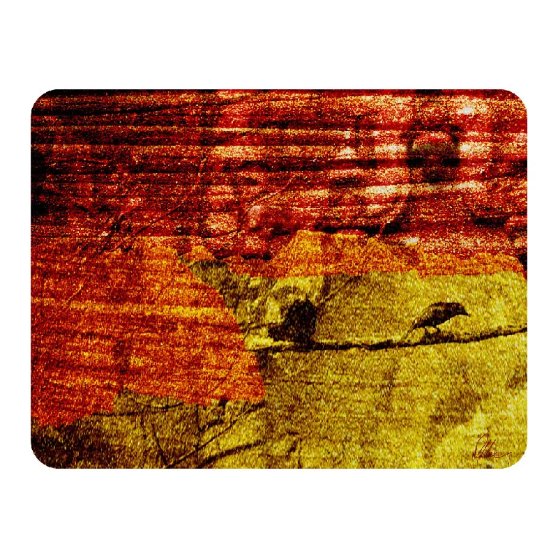 King - size blankets to cover large beds comfortablyBirds on branch (Blanket)