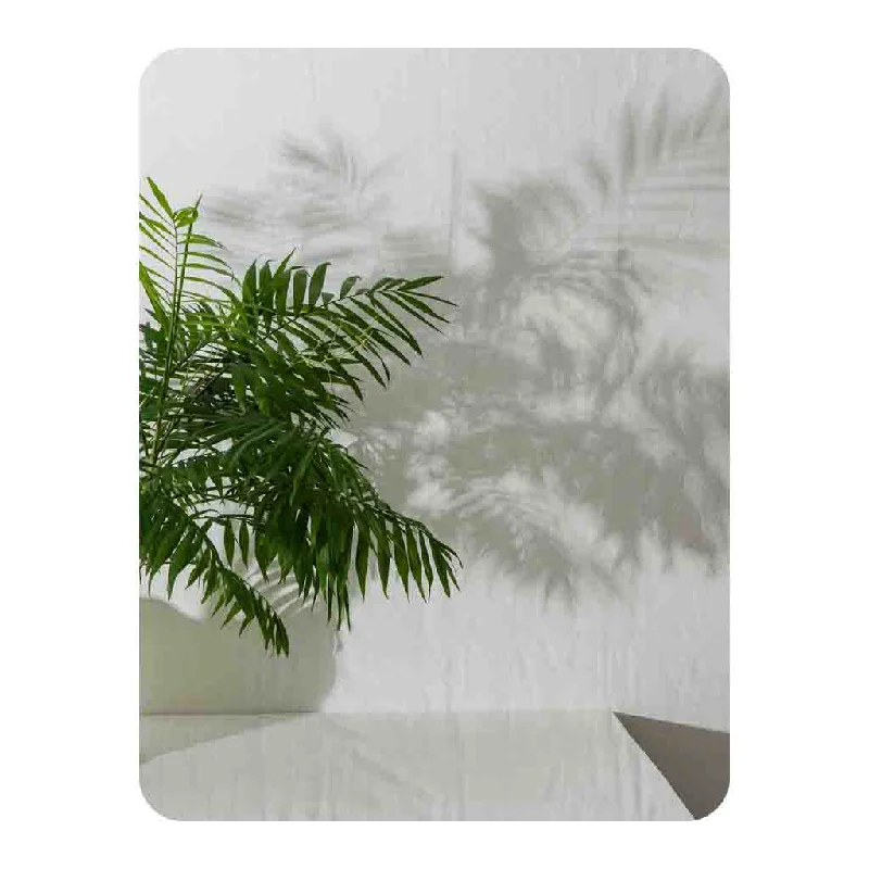 Fleece blankets for a cozy and plush textureChamaedorea Blanket