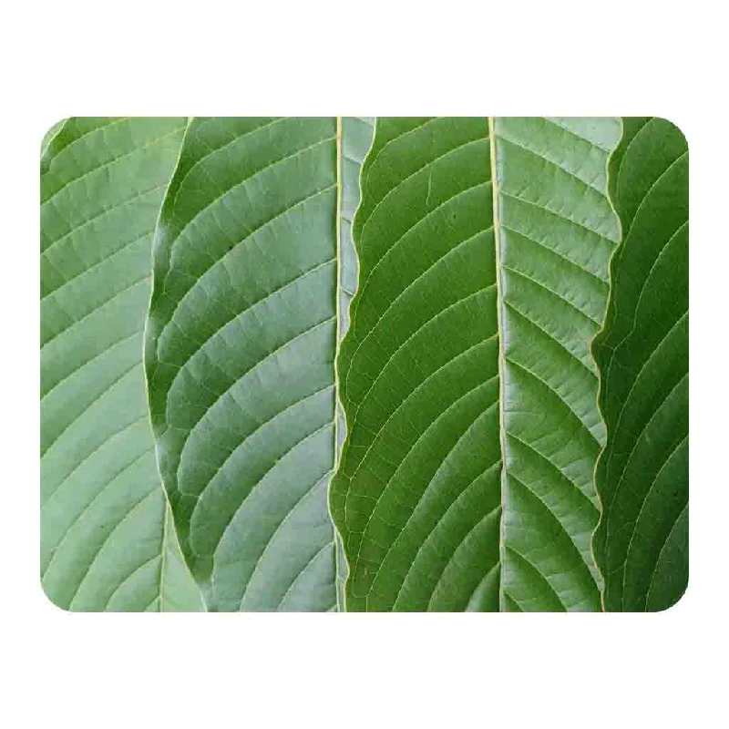 Chenille blankets with a thick and fuzzy textureClose Up Of Green Leaves Blanket