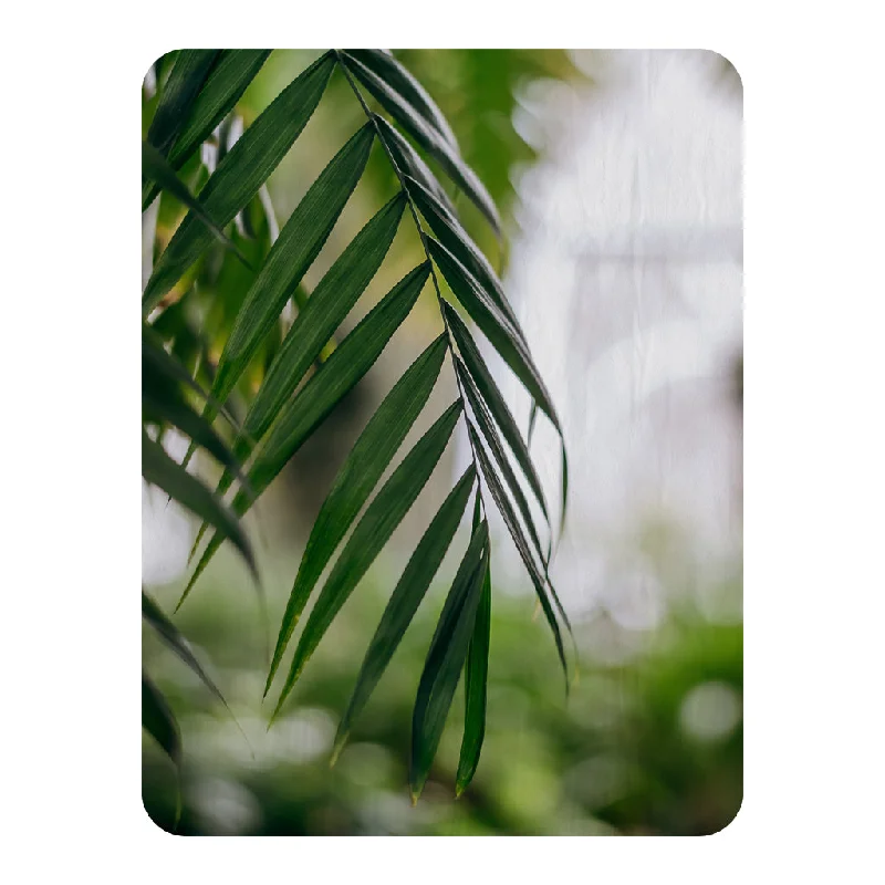 Silk blankets with a smooth and elegant touchCloseup of green palm leaf (Blanket)