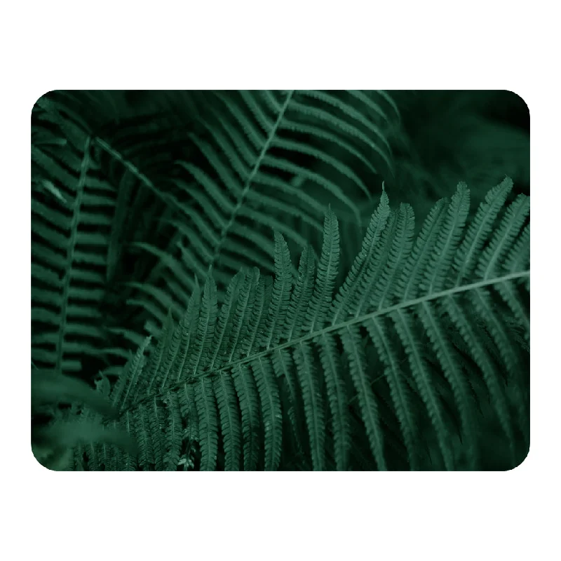 Cotton blankets for breathability and a lightweight feelDeep green fern leaves texture. Fern in the forest. Plants background. Biophilia trend (Blanket) Cotton blankets for breathability and a lightweight feelDeep green fern leaves texture. Fern in the forest. Plants background. Biophilia trend (Blanket)
