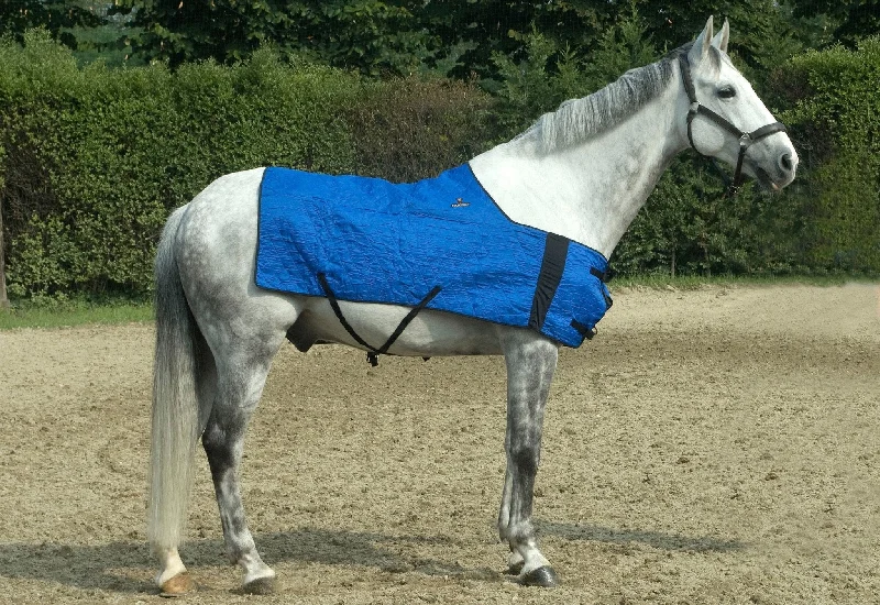 Recycled polyester blankets for an eco - conscious optionHyperKewl Horse Cooling Blanket, Large/XL Recycled polyester blankets for an eco - conscious optionHyperKewl Horse Cooling Blanket, Large/XL
