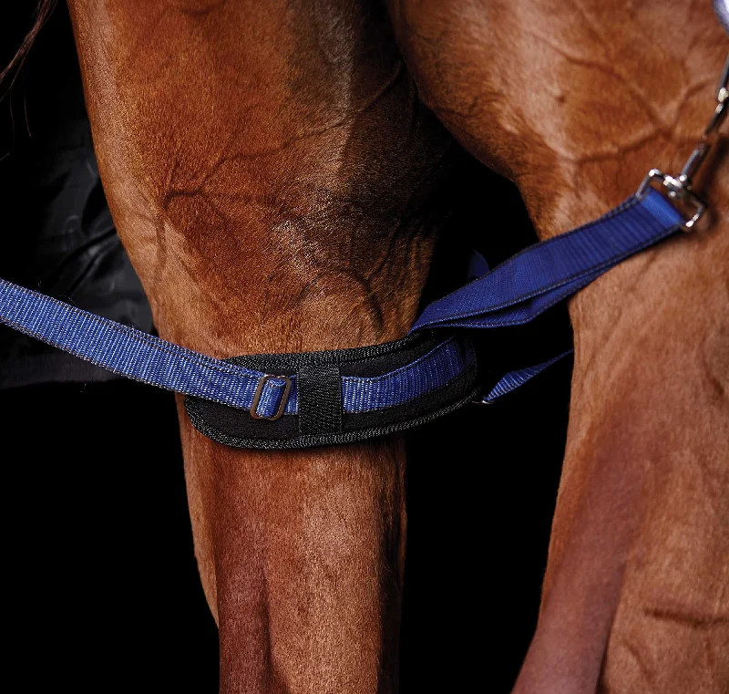 King - size blankets to cover large beds comfortablyWeatherBeeta Padded Hind Leg Straps, Pair King - size blankets to cover large beds comfortablyWeatherBeeta Padded Hind Leg Straps, Pair