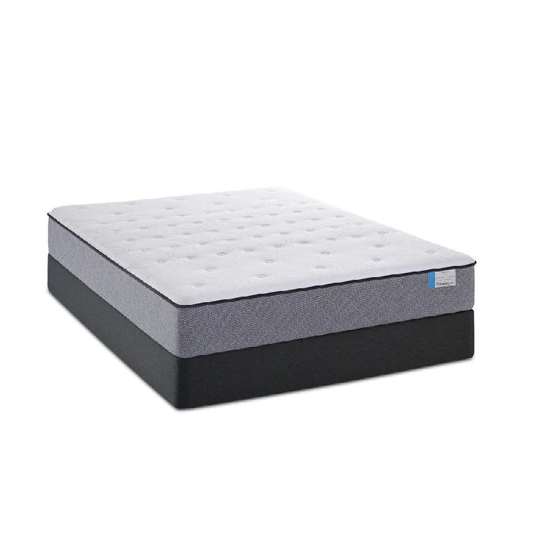 Wool - filled mattresses for natural insulation and moisture - wickingSealy Posturepedic San Antonio Valley Firm Queen-size Mattress Set - White