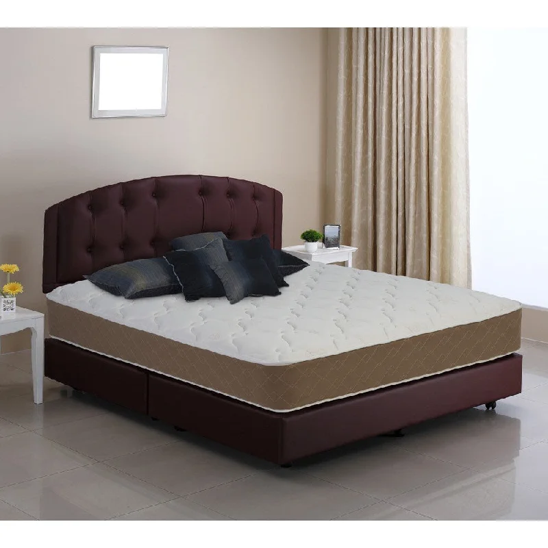 Memory foam mattresses for pressure relief and contouringWolf Lifetone Queen-size Firm Mattress Memory foam mattresses for pressure relief and contouringWolf Lifetone Queen-size Firm Mattress